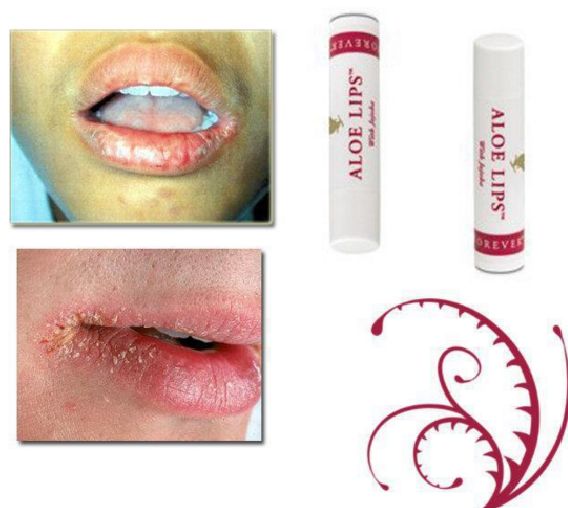 Baume à lèvres hydratant Forever Aloe Lips