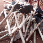 Houes traditionnelles avec manche en bois